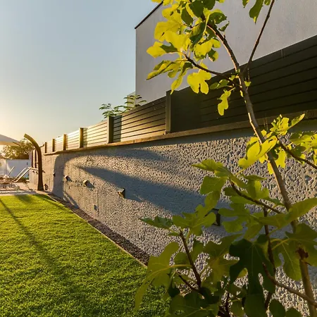 Felicia *